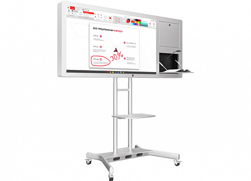 Интерактивная панель Horizon Scan c документ-камерой 55"